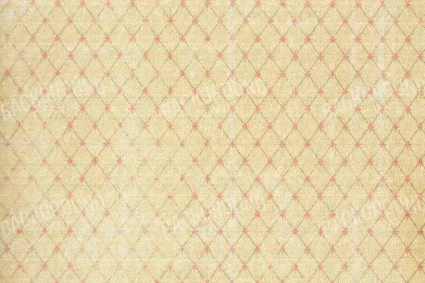 Hannah 8X5 Ultracloth ( 96 X 60 Inch ) Backdrop