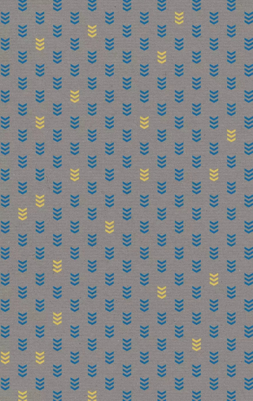 Hans 10X16 Ultracloth ( 120 X 192 Inch ) Backdrop