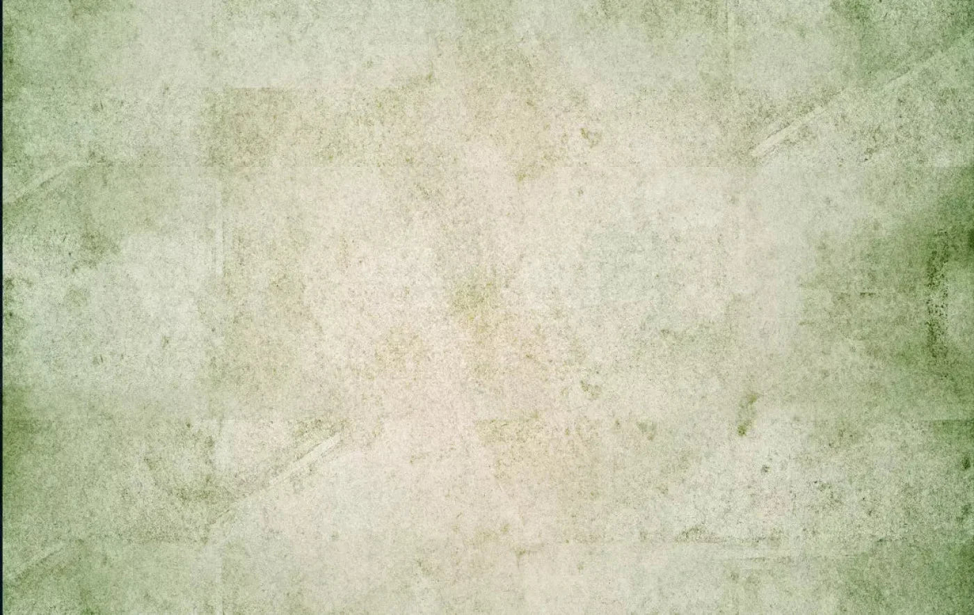 Hargrove 16X10 Ultracloth ( 192 X 120 Inch ) Backdrop