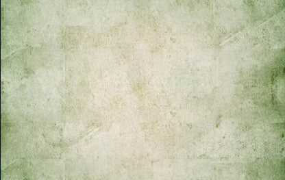 Hargrove 16X10 Ultracloth ( 192 X 120 Inch ) Backdrop