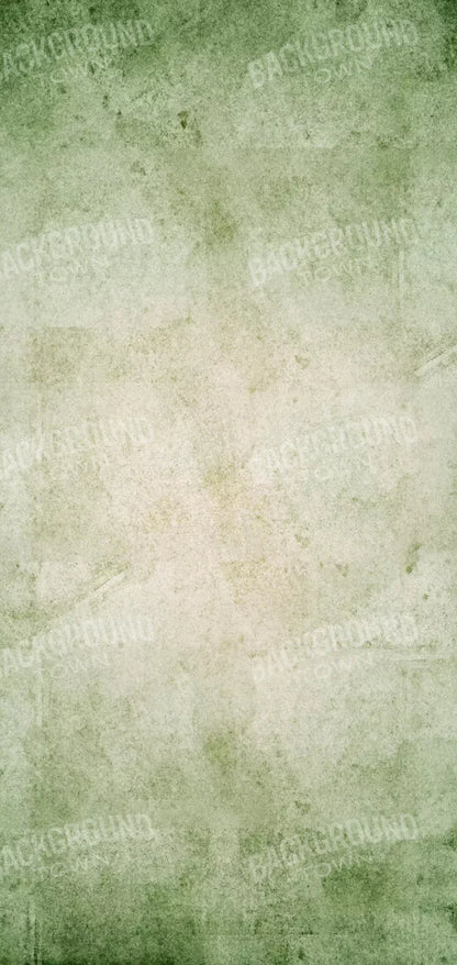 Hargrove 8X16 Ultracloth ( 96 X 192 Inch ) Backdrop