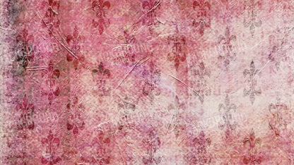 Harmony 14X8 Ultracloth ( 168 X 96 Inch ) Backdrop