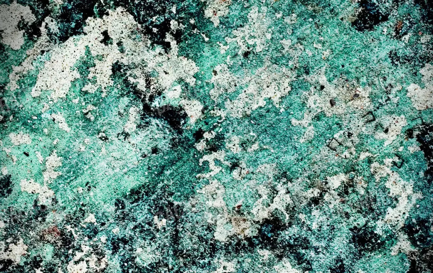 Harsh 16X10 Ultracloth ( 192 X 120 Inch ) Backdrop