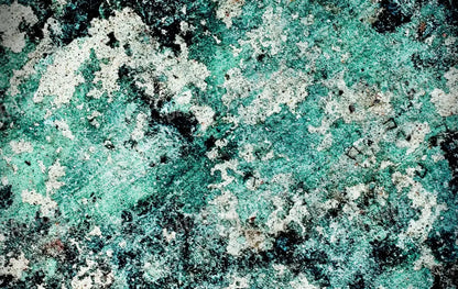 Harsh 16X10 Ultracloth ( 192 X 120 Inch ) Backdrop