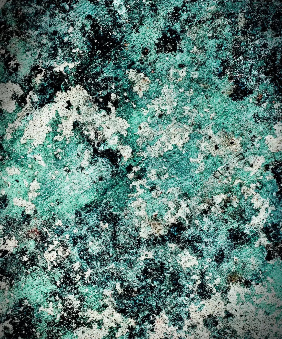 Green Urban Grunge Backdrop for Photography