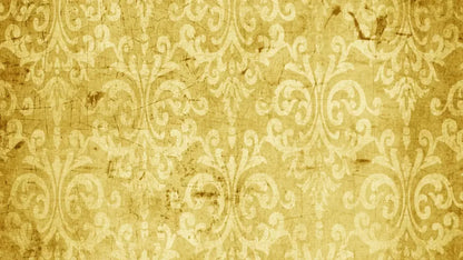 Haven 14X8 Ultracloth ( 168 X 96 Inch ) Backdrop