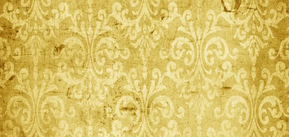 Haven 16X8 Ultracloth ( 192 X 96 Inch ) Backdrop