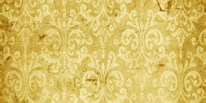 Haven 20X10 Ultracloth ( 240 X 120 Inch ) Backdrop