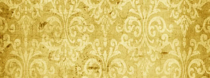 Haven 20X8 Ultracloth ( 240 X 96 Inch ) Backdrop