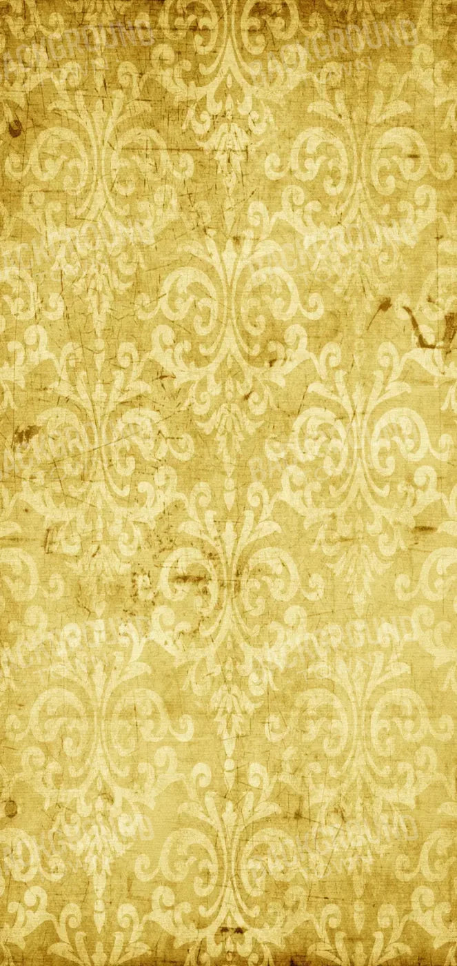 Haven 8X16 Ultracloth ( 96 X 192 Inch ) Backdrop
