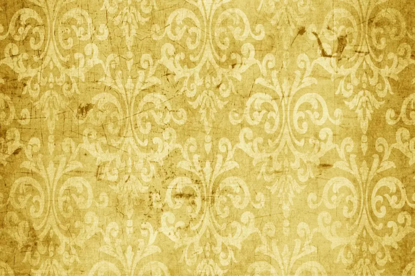 Haven Backdrop