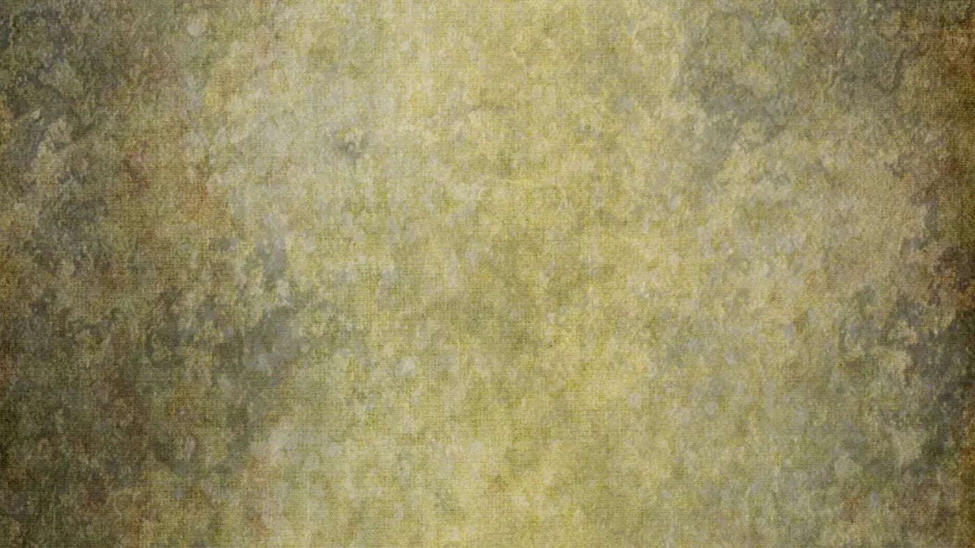 Hawthorne 14X8 Ultracloth ( 168 X 96 Inch ) Backdrop