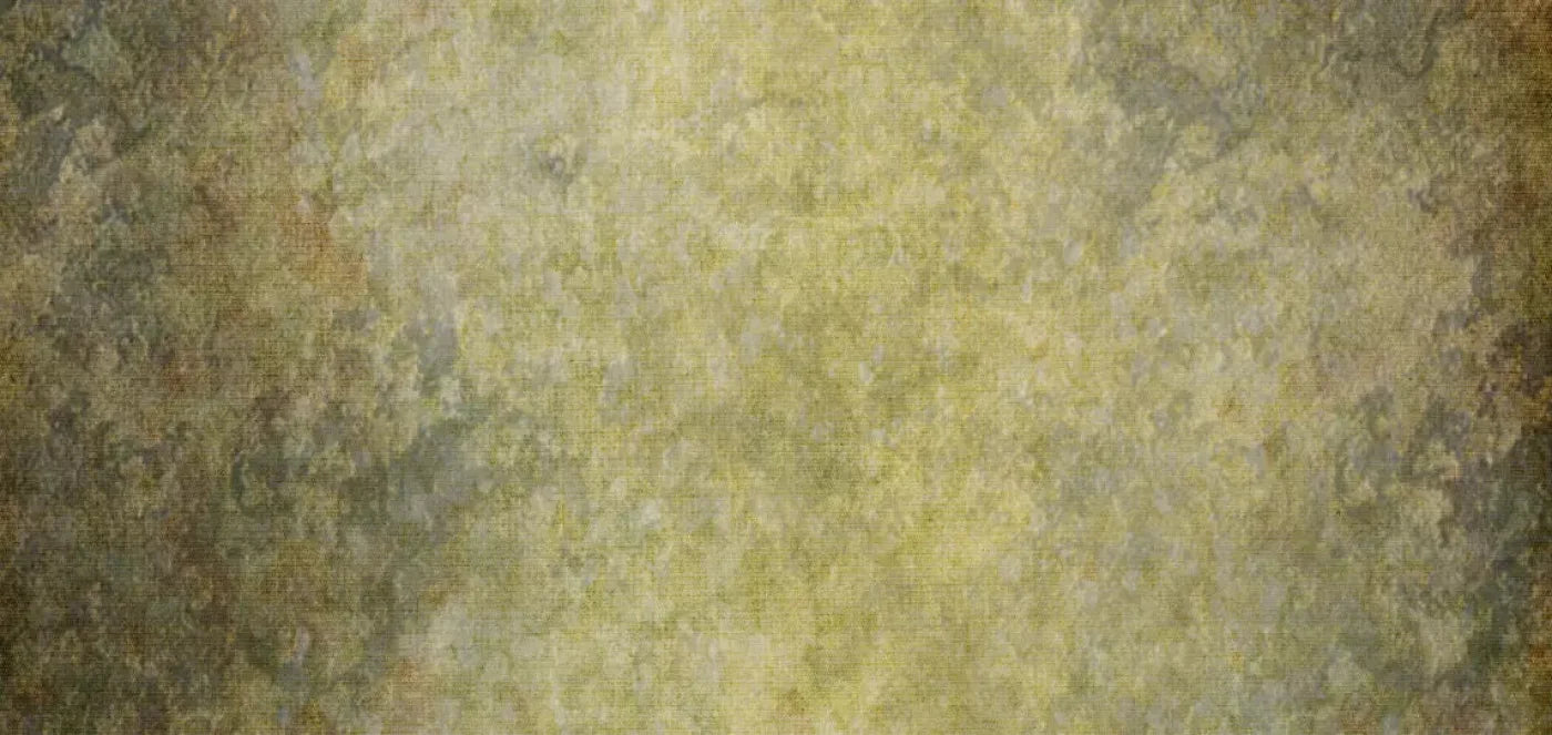 Hawthorne 16X8 Ultracloth ( 192 X 96 Inch ) Backdrop