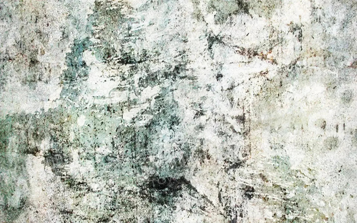 Hayden 14X9 Ultracloth ( 168 X 108 Inch ) Backdrop