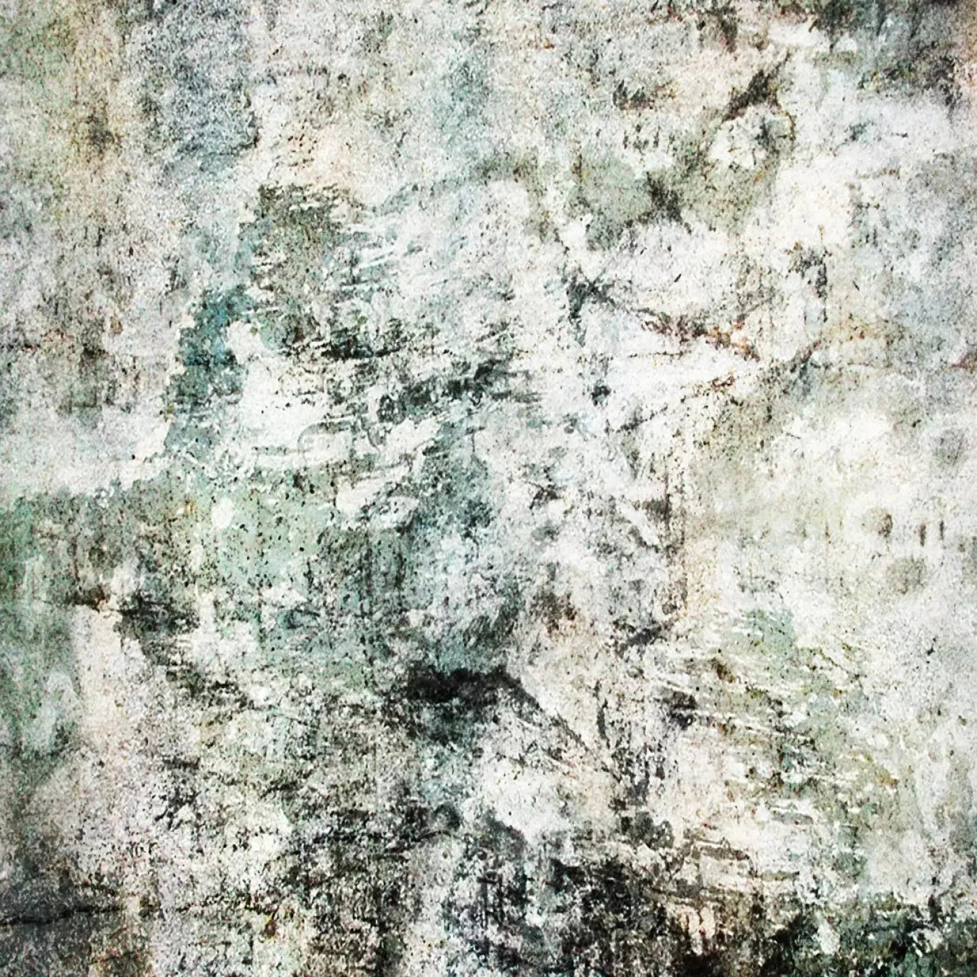 Hayden Backdrop