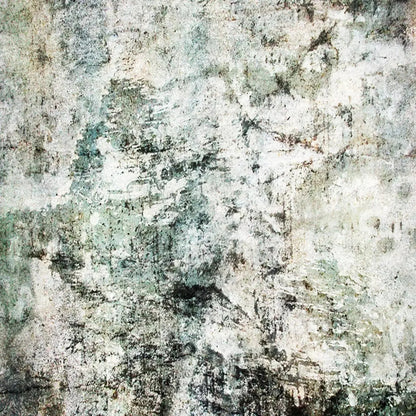 Hayden Backdrop