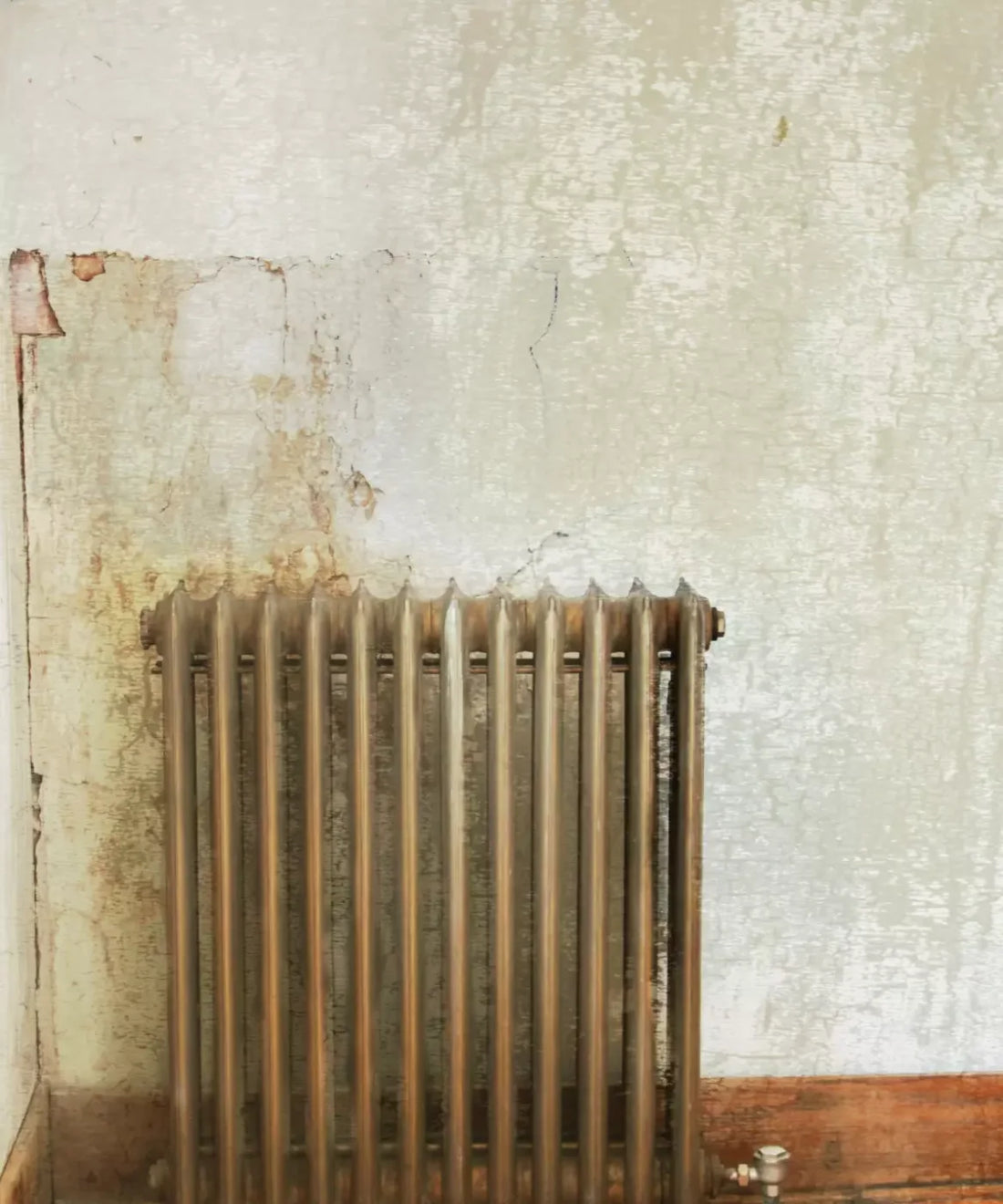 Beige Urban Grunge Backdrop for Photography