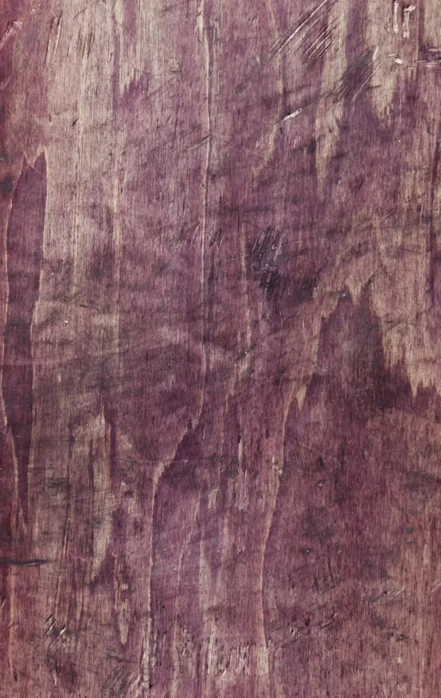 Heather 10X16 Ultracloth ( 120 X 192 Inch ) Backdrop