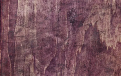Heather 14X9 Ultracloth ( 168 X 108 Inch ) Backdrop
