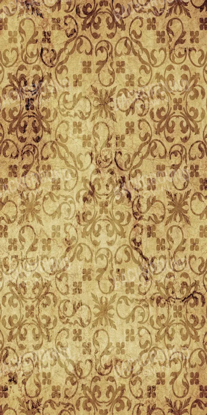 Heirloom 10X20 Ultracloth ( 120 X 240 Inch ) Backdrop