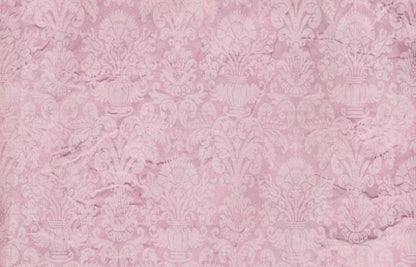 Helena 12X8 Ultracloth ( 144 X 96 Inch ) Backdrop