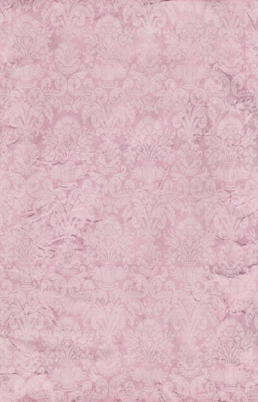 Helena 8X12 Ultracloth ( 96 X 144 Inch ) Backdrop