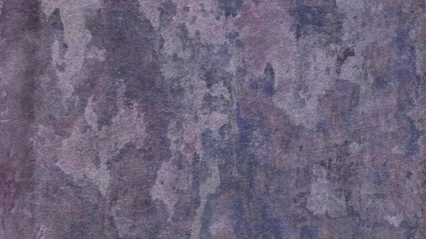 Henrietta 14X8 Ultracloth ( 168 X 96 Inch ) Backdrop