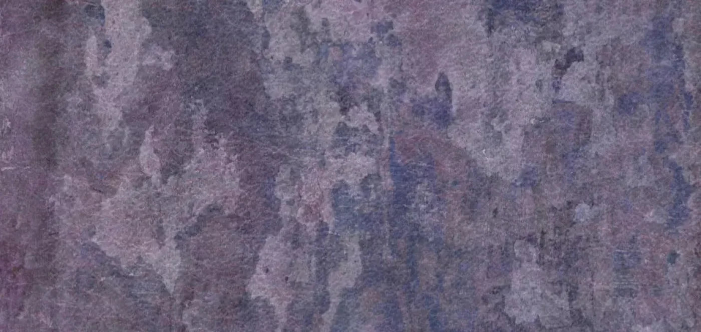 Henrietta 16X8 Ultracloth ( 192 X 96 Inch ) Backdrop