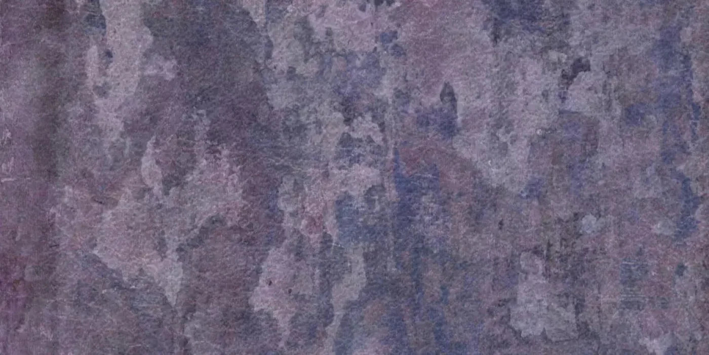 Henrietta 20X10 Ultracloth ( 240 X 120 Inch ) Backdrop