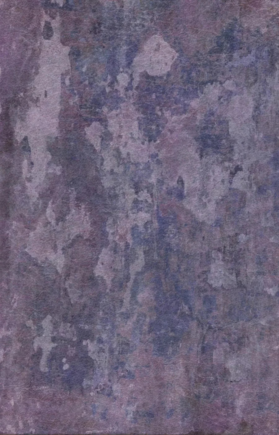 Henrietta 8X12 Ultracloth ( 96 X 144 Inch ) Backdrop