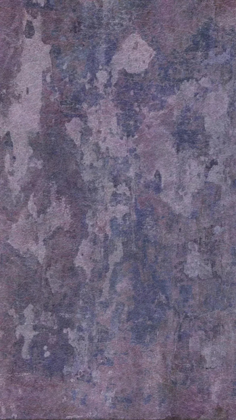 Henrietta 8X14 Ultracloth ( 96 X 168 Inch ) Backdrop
