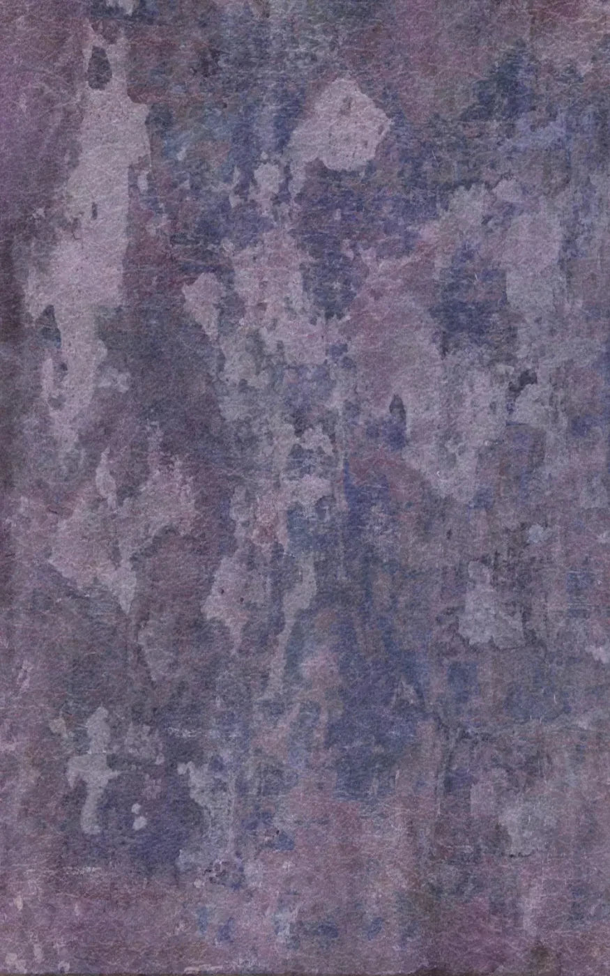 Henrietta 9X14 Ultracloth ( 108 X 168 Inch ) Backdrop