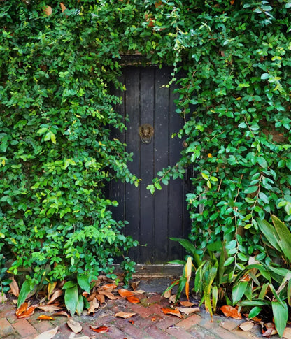 Hidden Door 10’X12’ Ultracloth (120 X 144 Inch) Backdrop