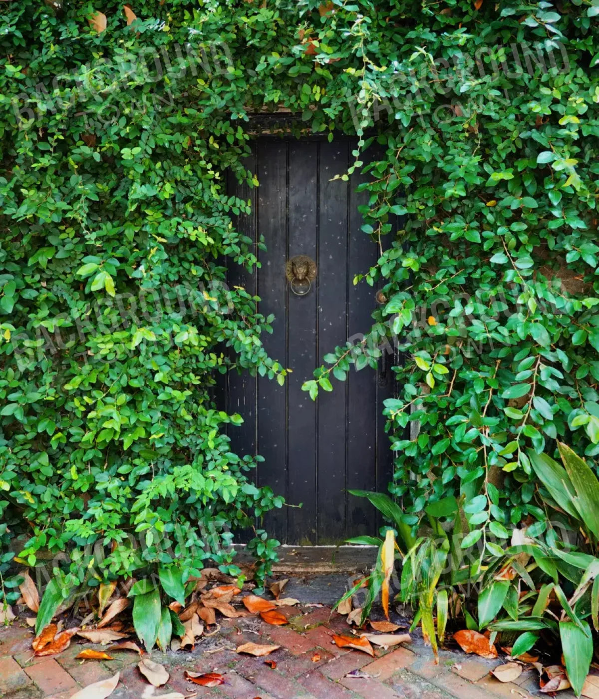 Hidden Door 10’X12’ Ultracloth (120 X 144 Inch) Backdrop