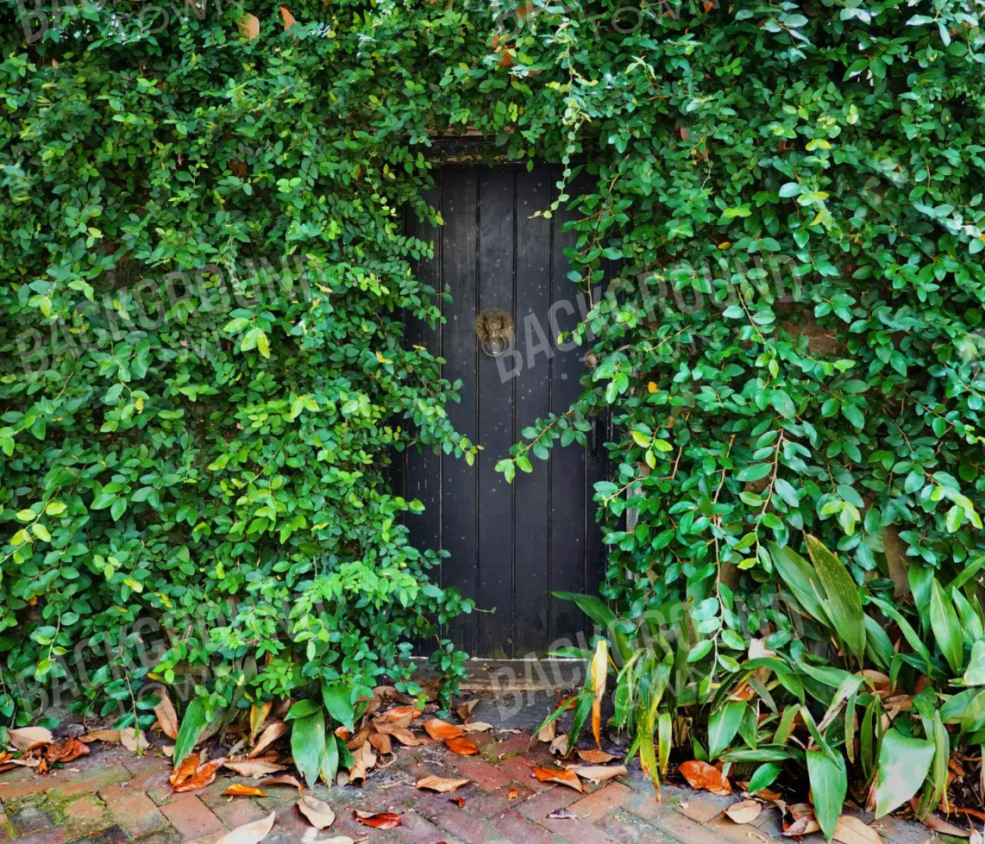 Hidden Door 12’X10’ Ultracloth (144 X 120 Inch) Backdrop