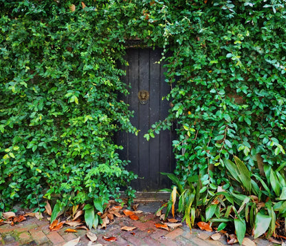 Hidden Door 12’X10’ Ultracloth (144 X 120 Inch) Backdrop
