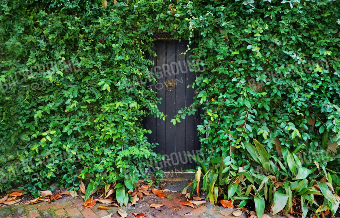Hidden Door 12’X8’ Ultracloth (144 X 96 Inch) Backdrop