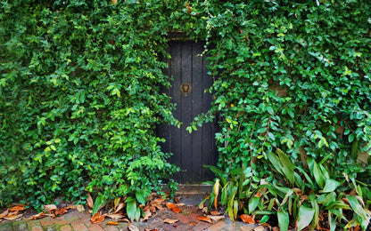 Hidden Door 14’X9’ Ultracloth (168 X 108 Inch) Backdrop