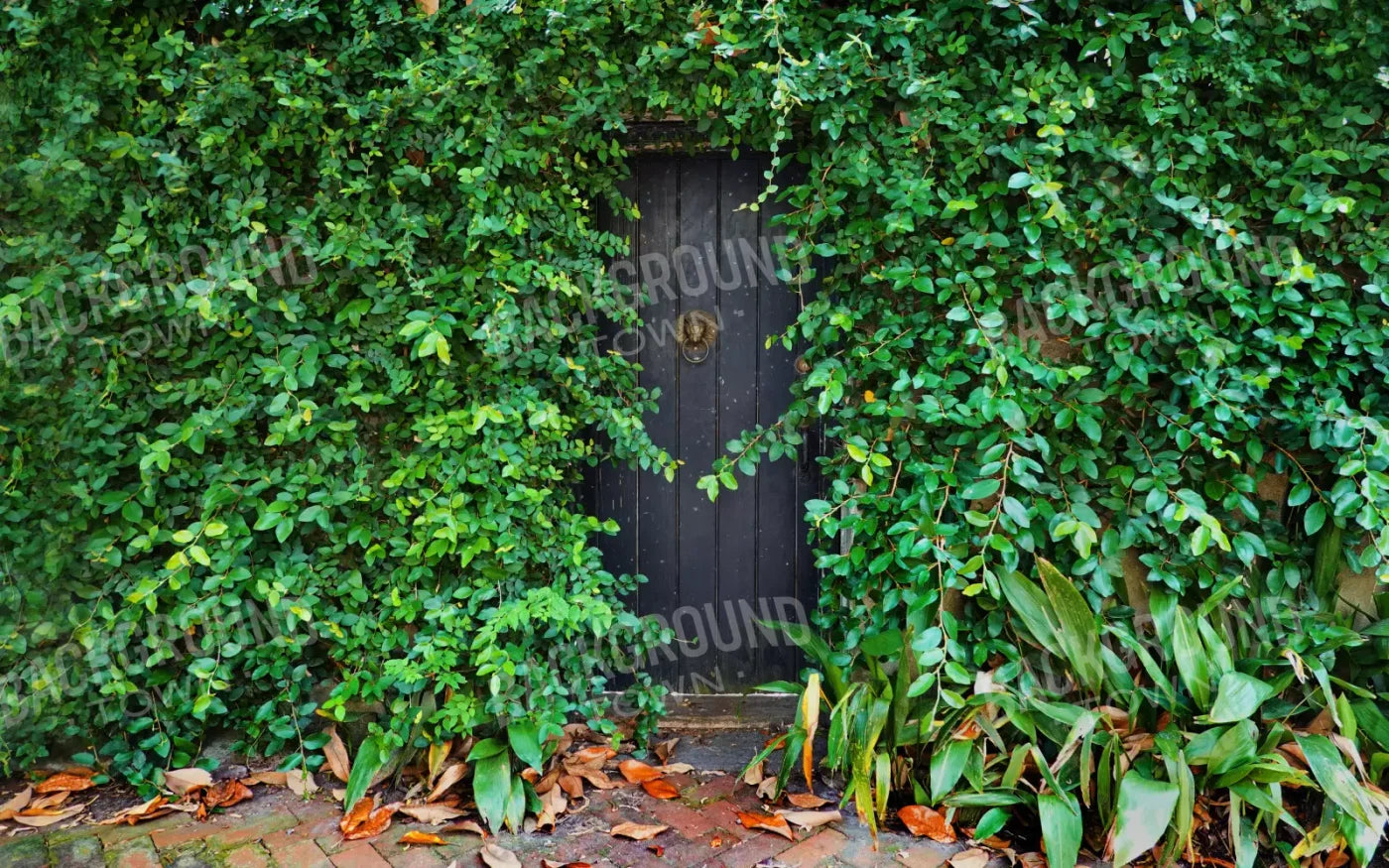 Hidden Door 14’X9’ Ultracloth (168 X 108 Inch) Backdrop