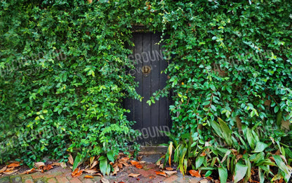 Hidden Door 14’X9’ Ultracloth (168 X 108 Inch) Backdrop