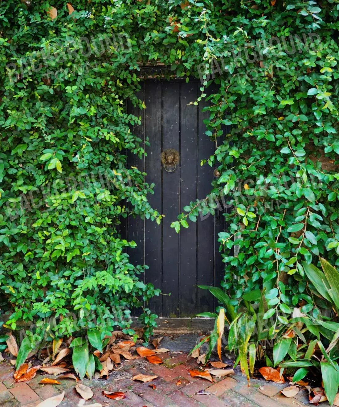 Green Nature Backdrop for Photography