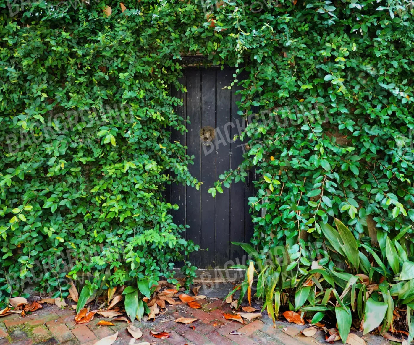 Hidden Door 5’X4’2’’ Fleece (60 X 50 Inch) Backdrop