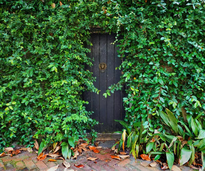 Hidden Door 5’X4’2’’ Fleece (60 X 50 Inch) Backdrop