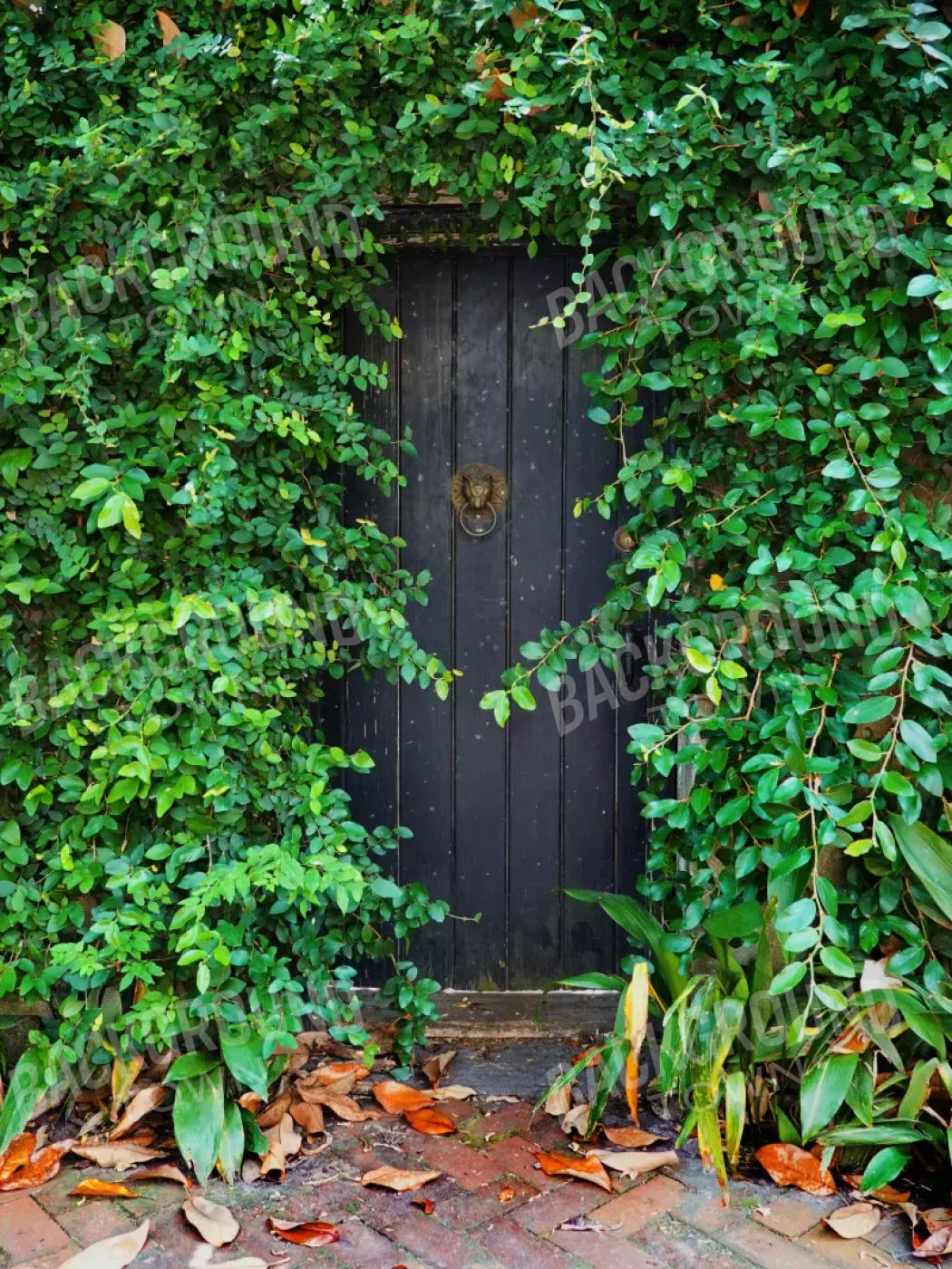 Hidden Door 5’X7’ Ultracloth (60 X 84 Inch) Backdrop