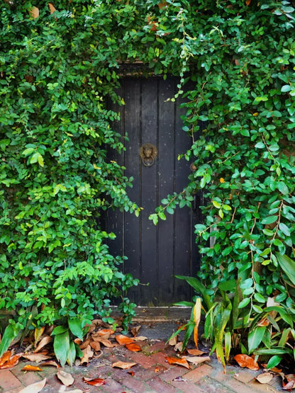 Hidden Door 5’X7’ Ultracloth (60 X 84 Inch) Backdrop