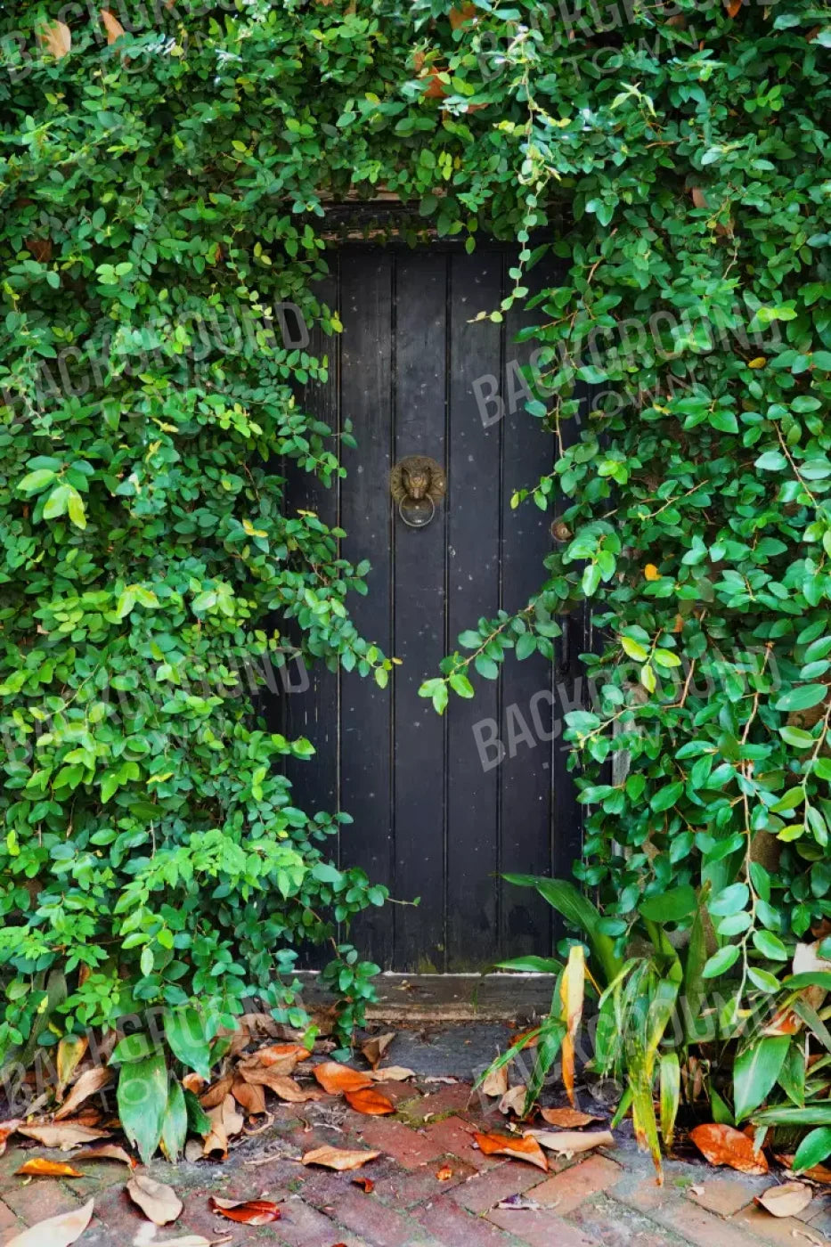 Hidden Door 5’X8’ Ultracloth (60 X 96 Inch) Backdrop