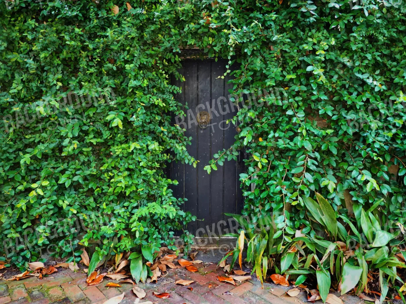 Hidden Door 6’8’’X5’ Fleece (80 X 60 Inch) Backdrop