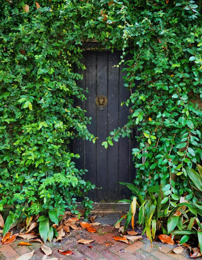 Hidden Door 6’X8’ Fleece (72 X 96 Inch) Backdrop