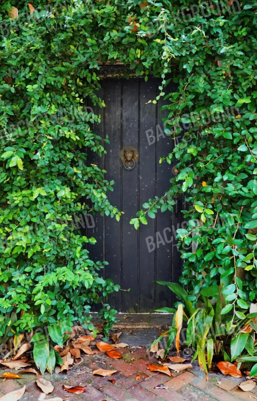 Hidden Door 8’X12’ Ultracloth (96 X 144 Inch) Backdrop