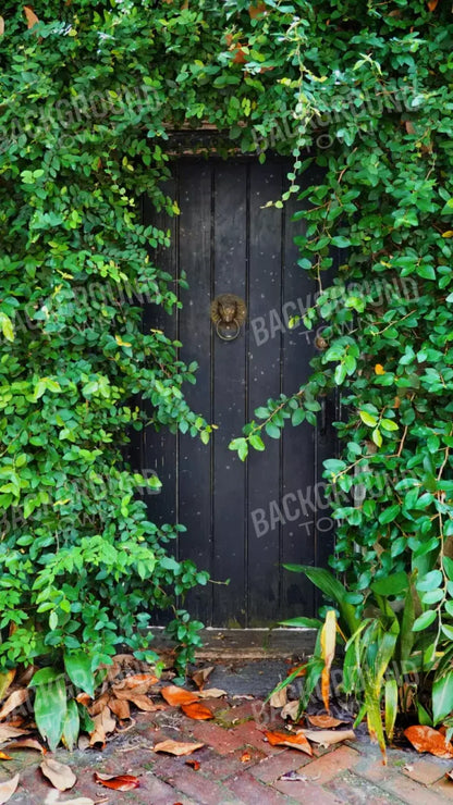 Hidden Door 8’X14’ Ultracloth (96 X 168 Inch) Backdrop